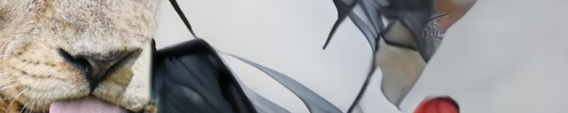 A 640 pixel wide stride-32 panorama from the same lion image, drifting into gray abstraction more slowly