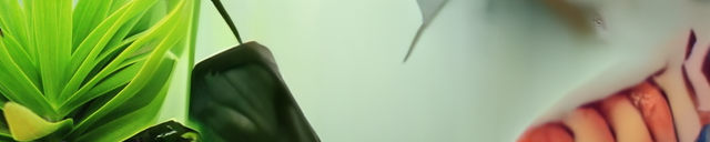 A 640 pixel wide stride-32 panorama from the plant image, staying on-theme longer before inventing new content